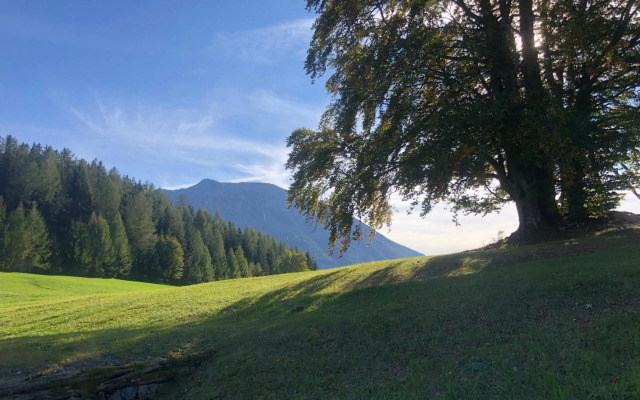 Das Haus am Berg: Nestelberg17