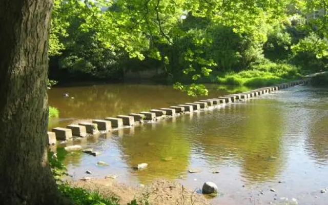 Stepping Stones (Adults Only)