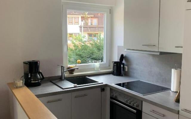 Sport-Alpin-Wohnung-110