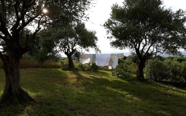 ELAIA location
