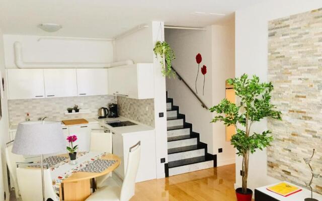 Nova Galerija Studio Vita i Apartman Sara