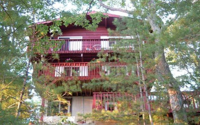 Tree Tops Bed & Breakfast