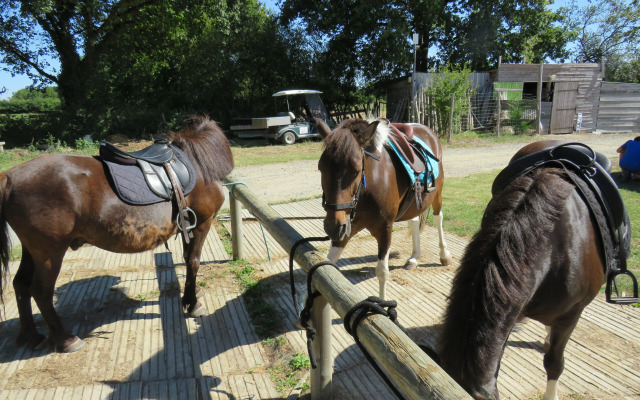 Les P'tites Maisons dans la Prairie