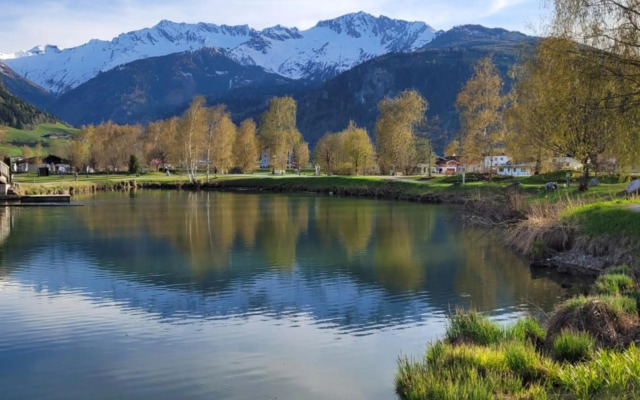 Profelt`s Apartments Uttendorf Steinbock Lodges