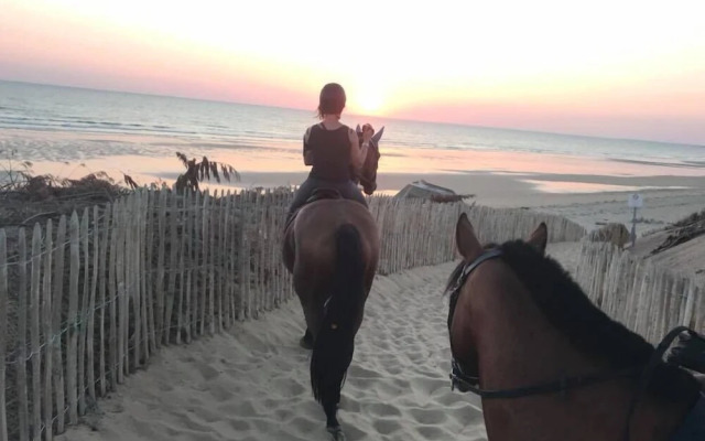 Domaine des Z'Ailés Les Roulottes