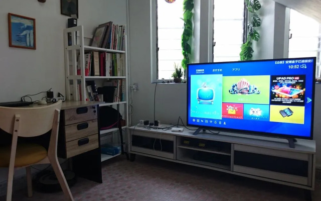 Sea Lion by the Beach