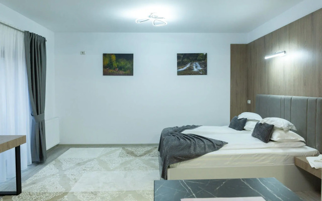 Frasin Studios-6 km to Voronet Monastery