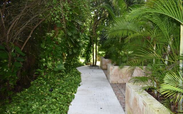Quetzal Penthouse 2 rec