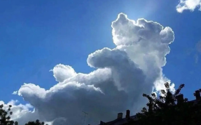 Apartment U Medvídka