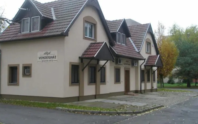 Abigel Vendeghaz
