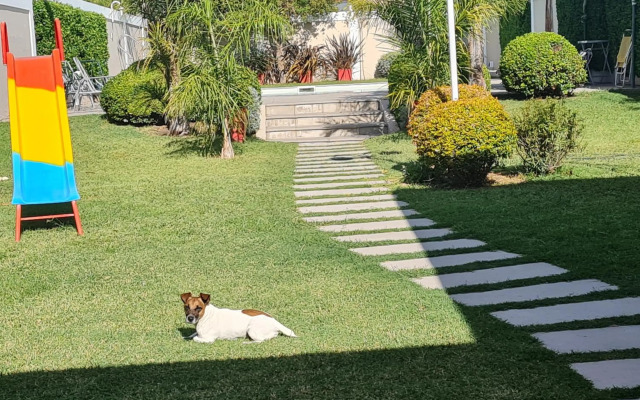 Las Palmeras - Tandil