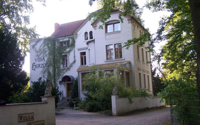 Villa Herzog