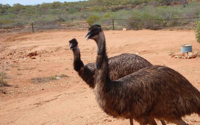 Ningaloo Bed and Breakfast