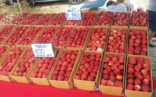 Mae Klang Ban yen hill