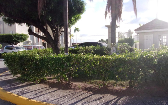 Central Oaklands Kingston Apt