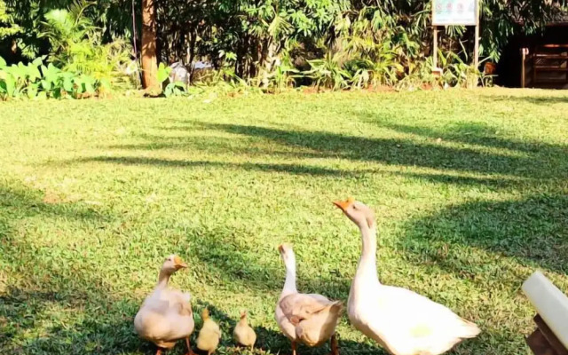 The Orchard Resort