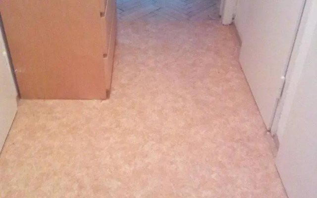 Flat 18 Minutes From Vaclavske Namesti
