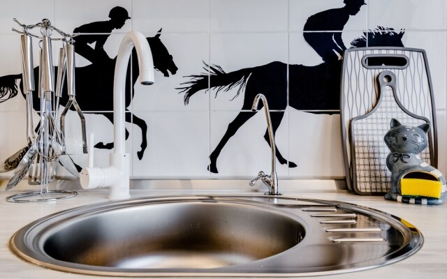 Piterskiy Aristokrat