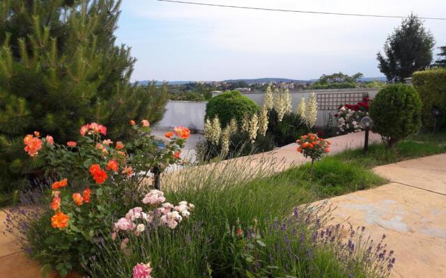 Villa Byala Grape House