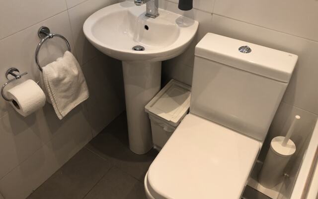 Modern Flat in Holloway