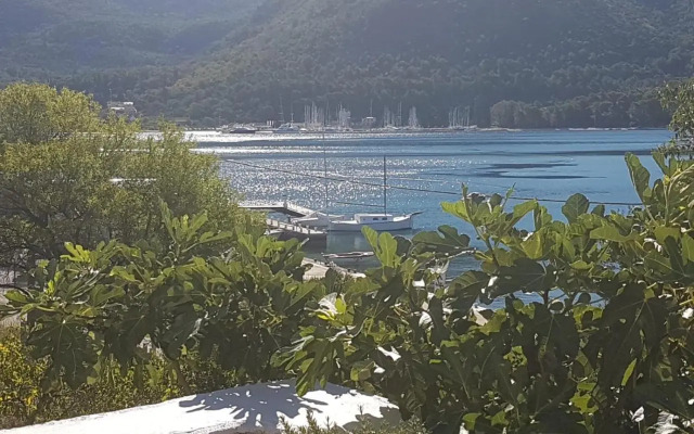 Apartments by the sea Slano, Dubrovnik - 8599