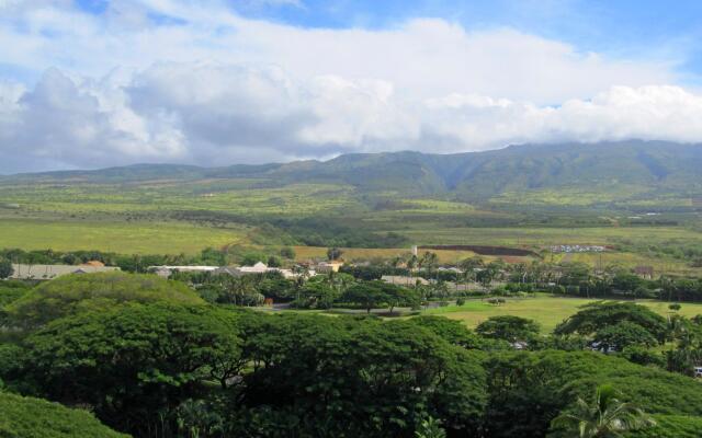 Mahana 803 in Lahaina