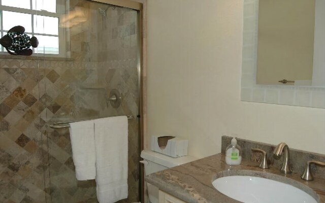 Sand Dollar by RedAwning