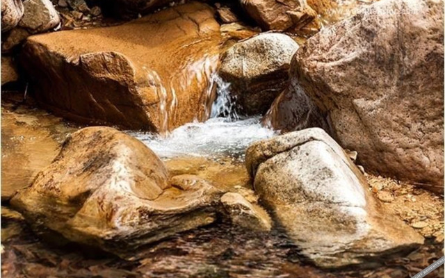 Muuju Gumgang Morning Scent Pension