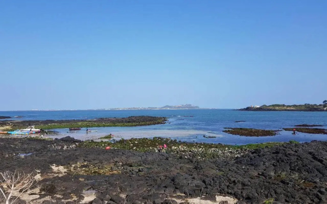 Hado Saeya Saeya Private