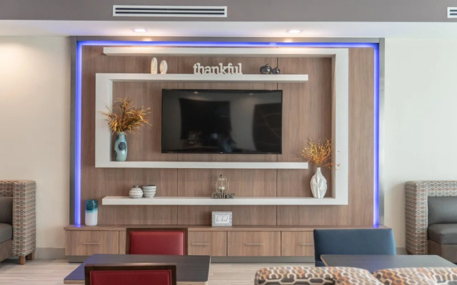 Holiday Inn Express and Suites Birmingham - Homewood