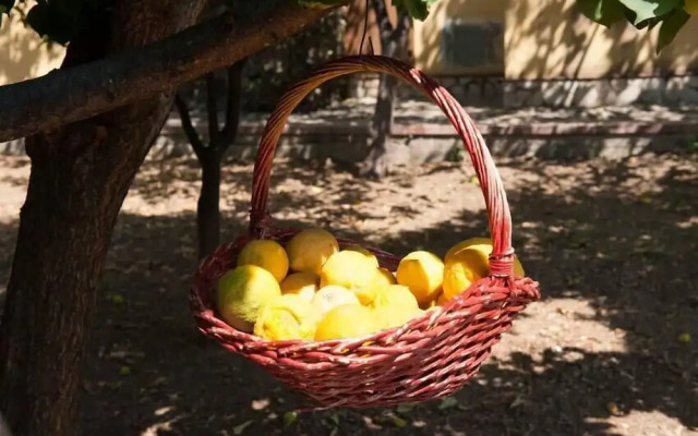 Nel Giardino Dei Limoni