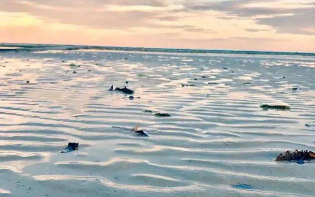 Villa Kalista Luxury Villas