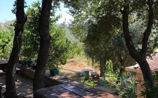Yesil Vadi Apart Pansiyon