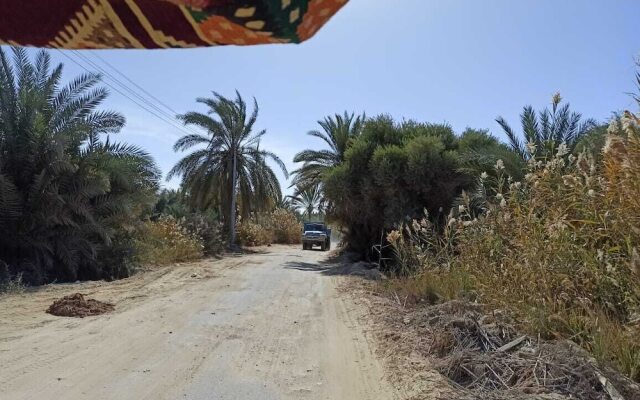 Al-Manara Hostel Siwa Oasis