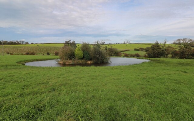 Meadow View