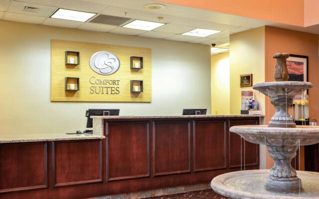 Comfort Suites Northlake