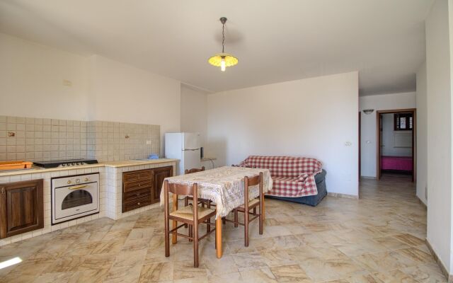 Salvia Lovely Seaview