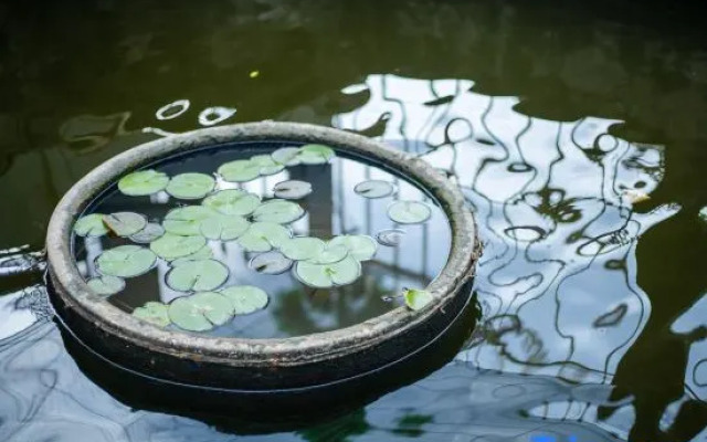 Shanghai corner boutique homestay