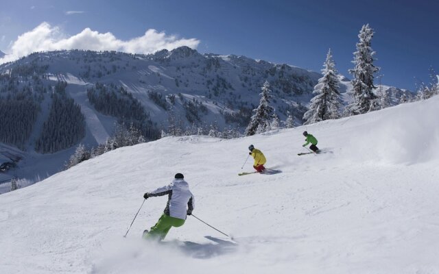 Luxurious Apartment With Sauna in Finkenberg Near Ski Lift