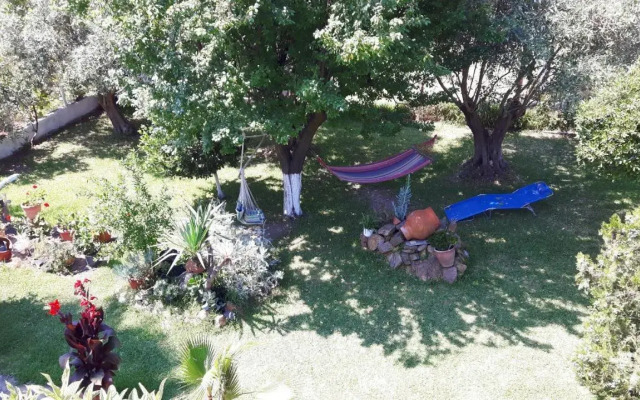 Sophia's House
