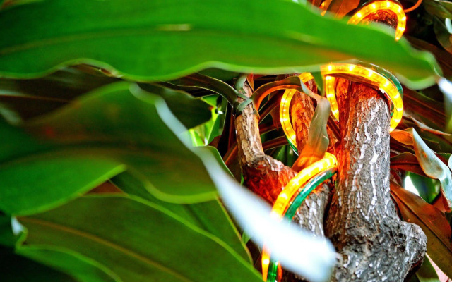 Walk On The Beach Hostel