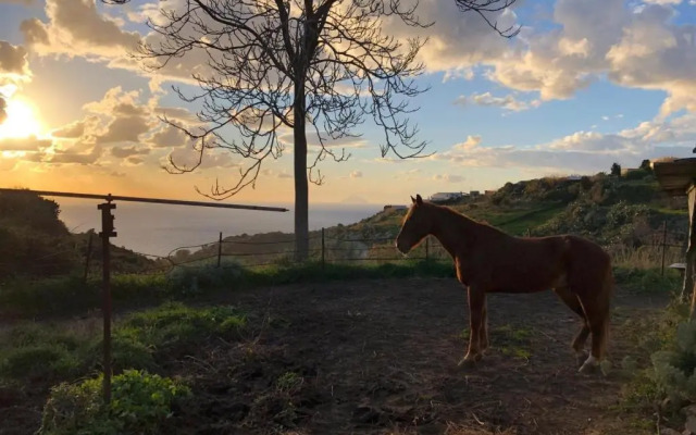 Agriturismo U Zu Peppino