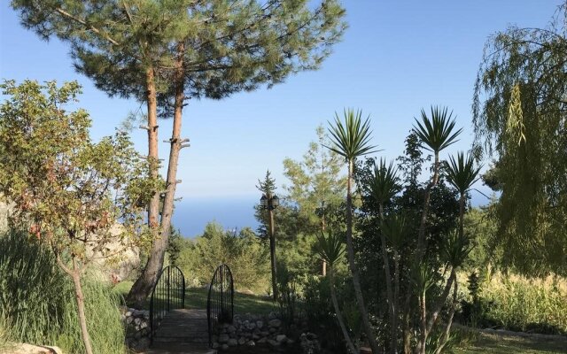 Olympos Mountain Lodge