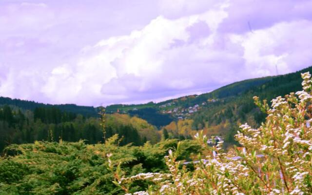 Berghotel Schwarzwaldblick Triberg