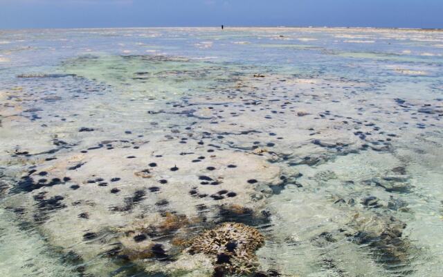 Ujamaa Beach Resort Zanzibar