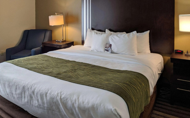 Comfort Inn Paducah I-24