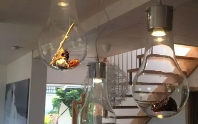 Ferienhaus "marianne" in Breege