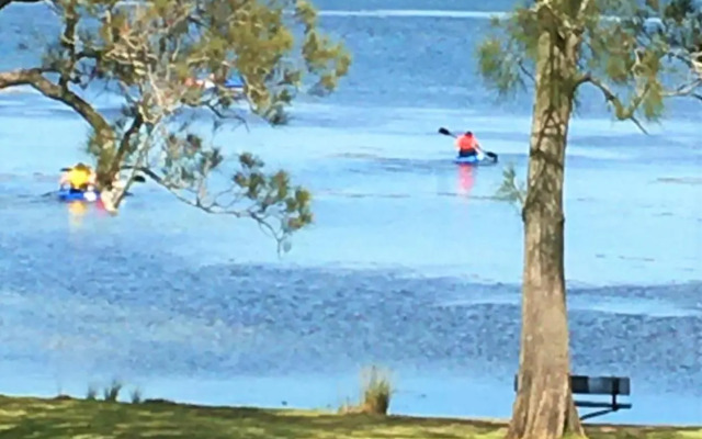 Paradise Beach Apartments