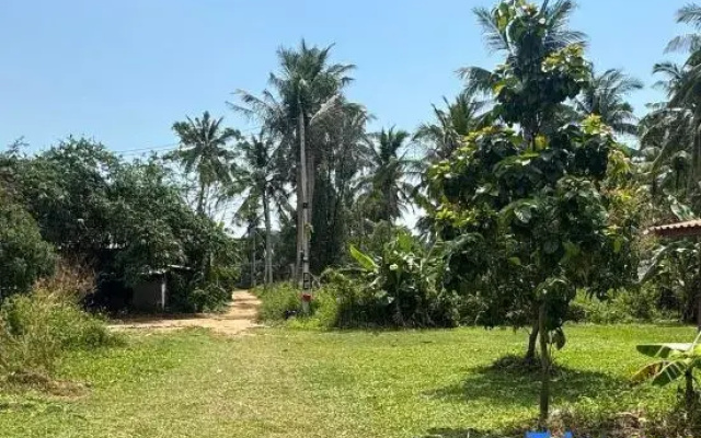 Om Garden North
