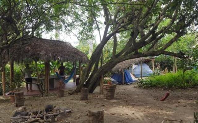 Cabañas Amazonia